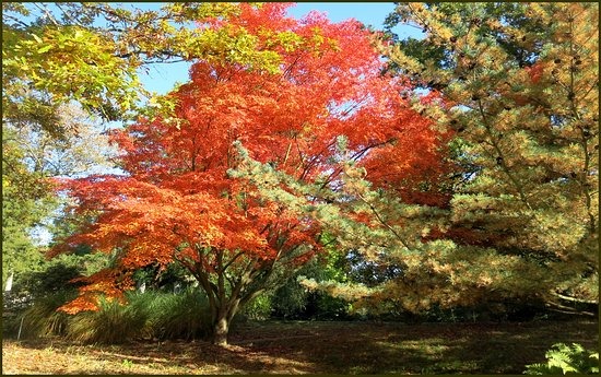 Chasse aux couleurs d'automne !